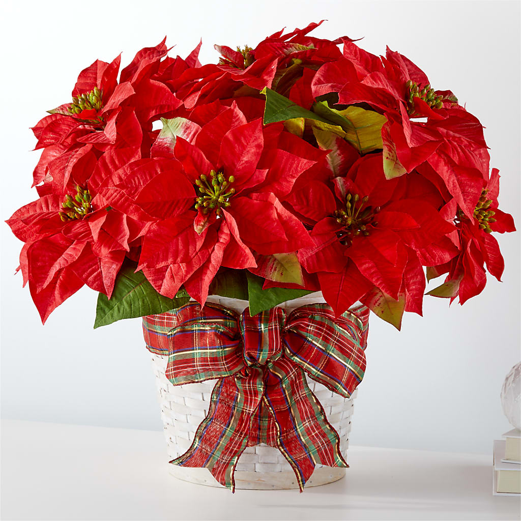 Happiest Holidays Poinsettia – Flowers By Mayra Inc, Freeport NY
