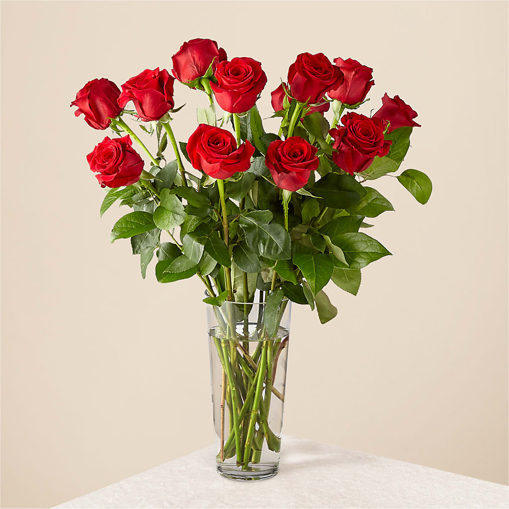 Long Stem Red Rose Bouquet – Flowers By Mayra Inc, Freeport NY