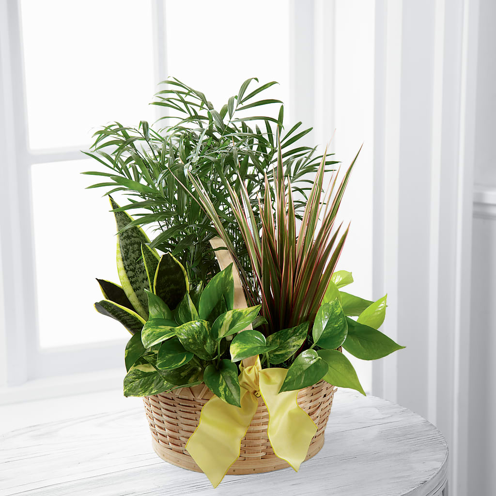 French Garden – Flowers By Mayra Inc, Freeport NY