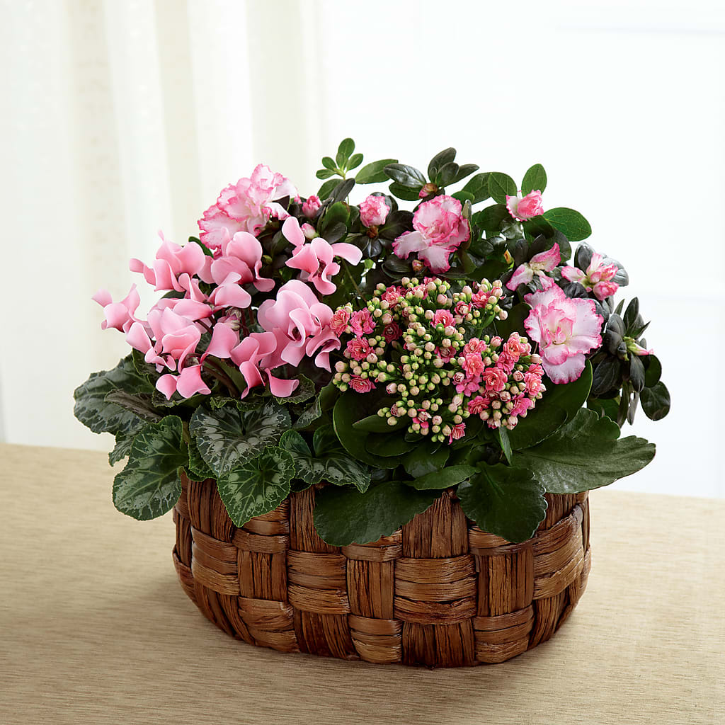Pink Assortment – Flowers By Mayra Inc, Freeport NY