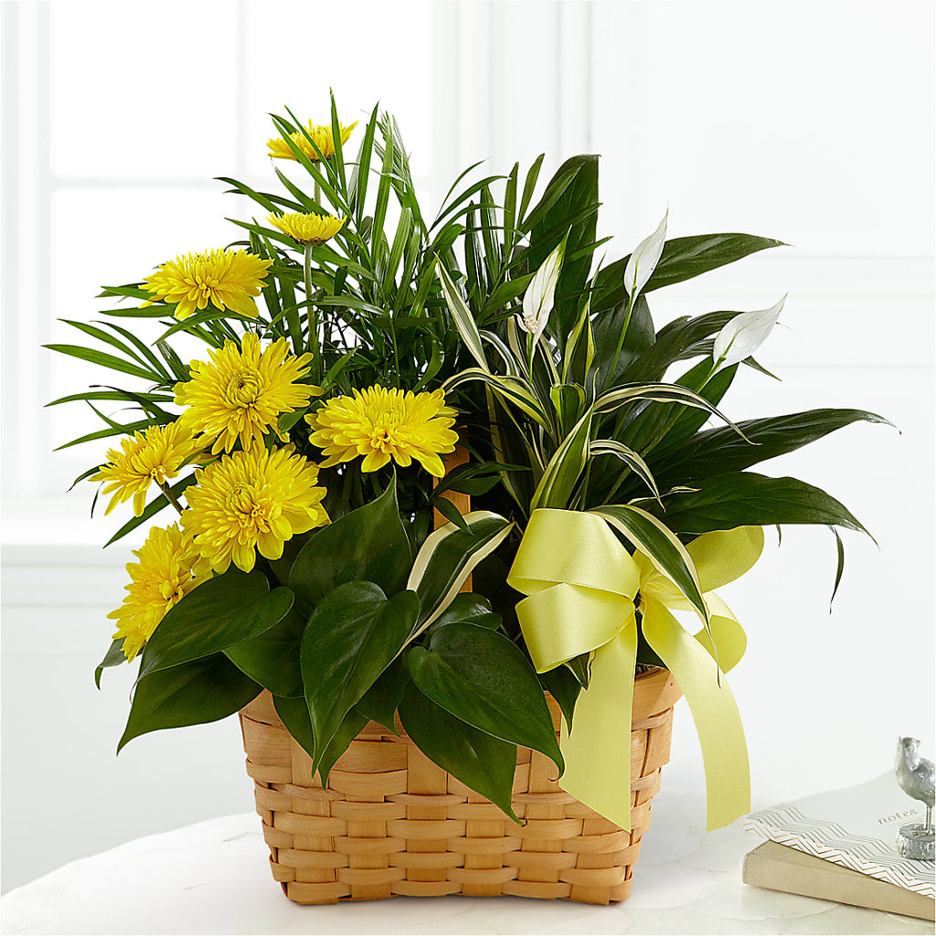 Loving Light Dishgarden – Flowers By Mayra Inc, Freeport NY