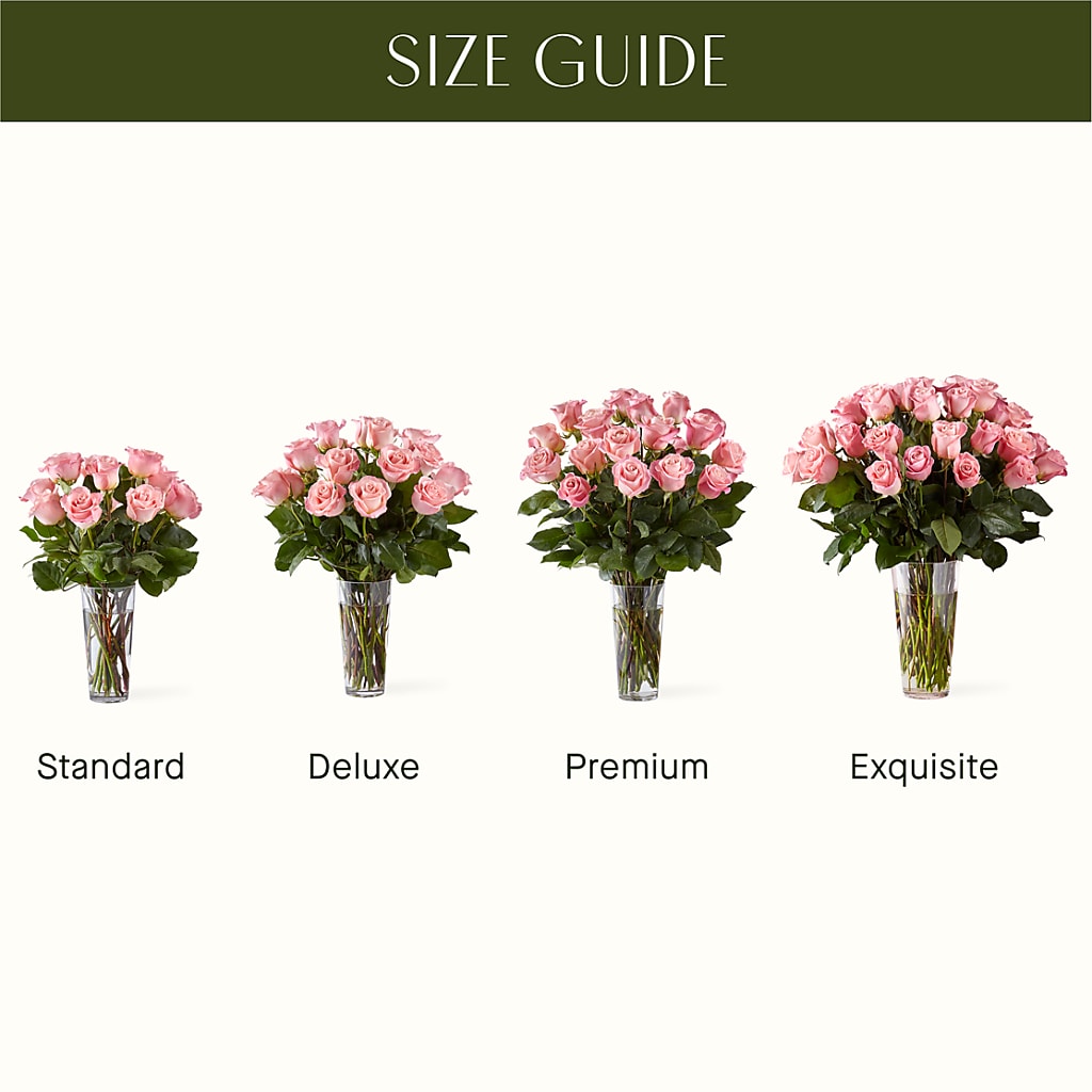 Long Stem Pink Rose Bouquet – Flowers By Mayra Inc, Freeport NY