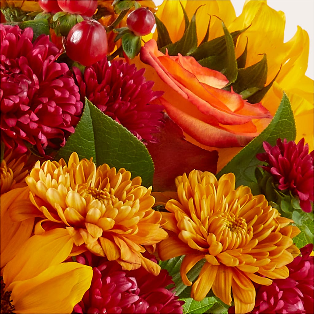 Sweater Season - A Florist Original – Flowers By Mayra Inc, Freeport NY