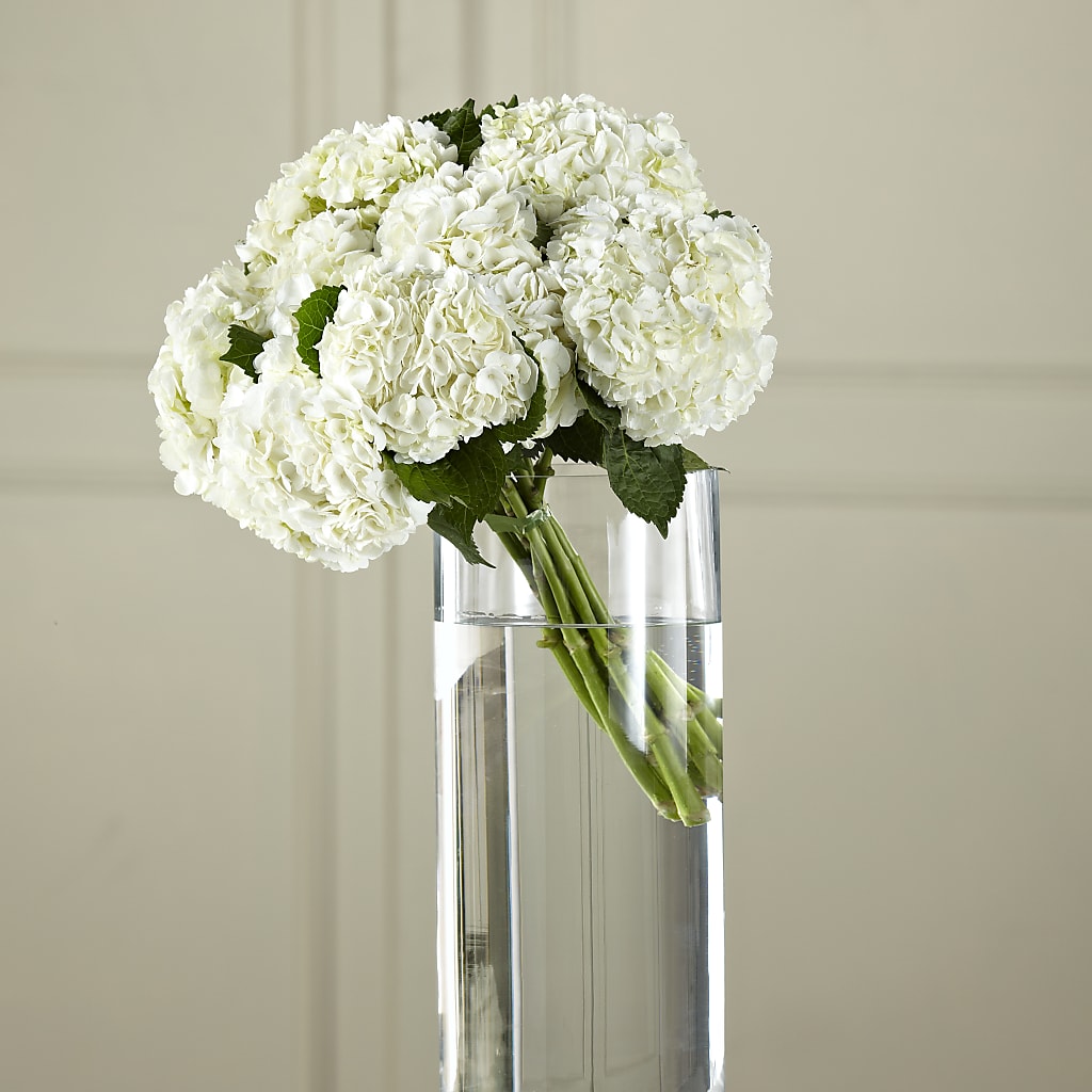 White Hydrangea Hand-Tied Bouquet – Flowers By Mayra Inc, Freeport NY