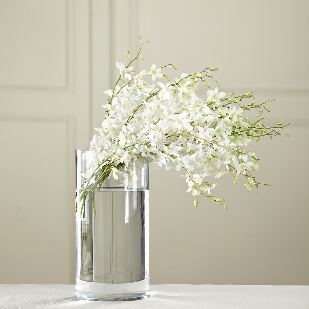 White Dendrobium Bouquet – Flowers By Mayra Inc, Freeport NY