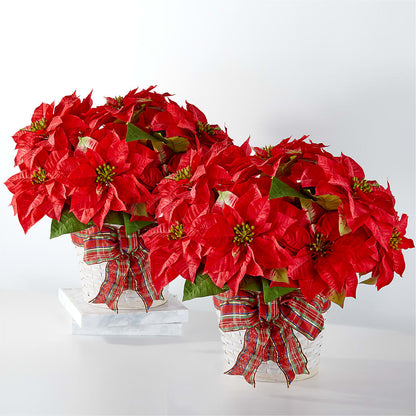 Happiest Holidays Poinsettia Bundle –  Flowers By Mayra Inc, Freeport NY