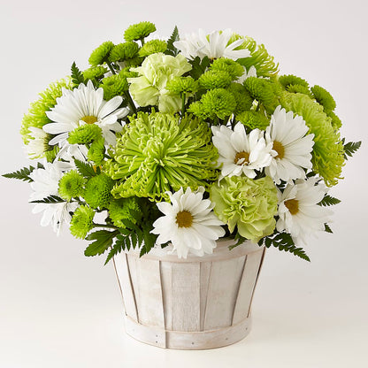 Lucky Charm Basket (Standard) –  Flowers By Mayra Inc, Freeport NY