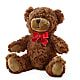 Adorable Plush Bear –  Flowers By Mayra Inc, Freeport NY