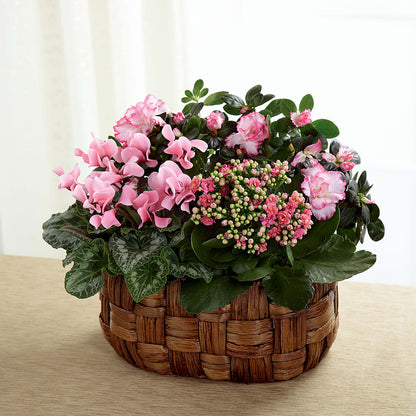 Pink Assortment –  Flowers By Mayra Inc, Freeport NY