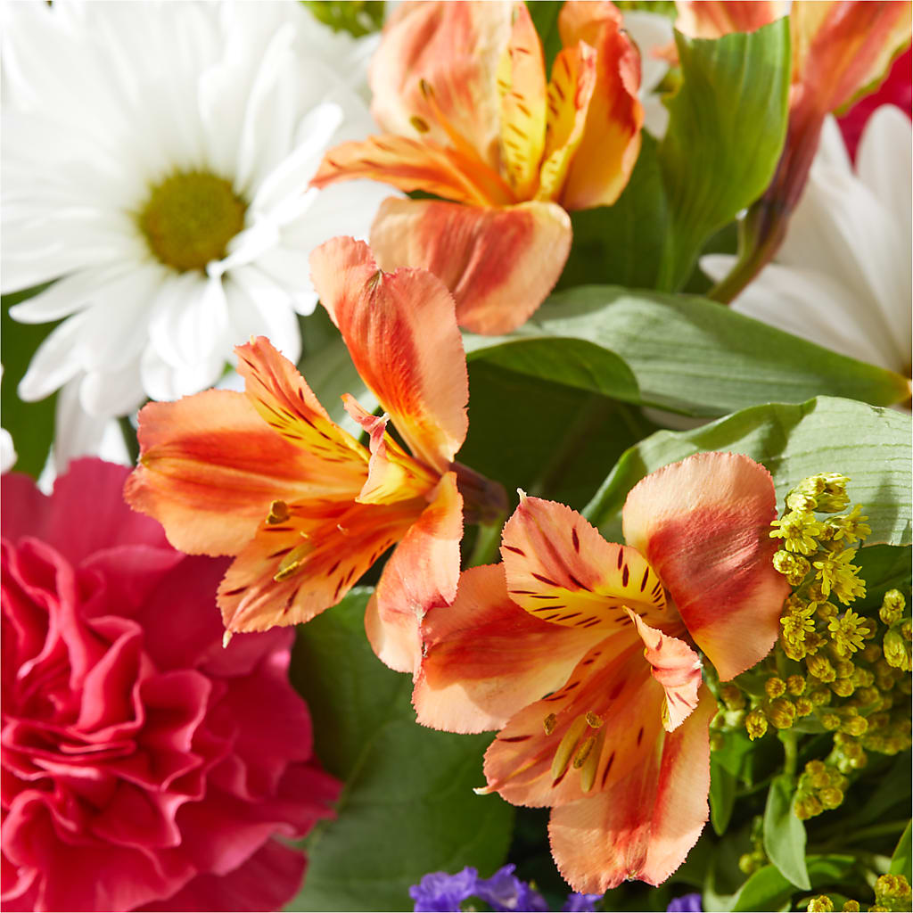 Oopsie Daisy Box Bouquet –  Flowers By Mayra Inc, Freeport NY