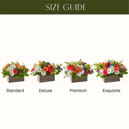 Oopsie Daisy Box Bouquet –  Flowers By Mayra Inc, Freeport NY