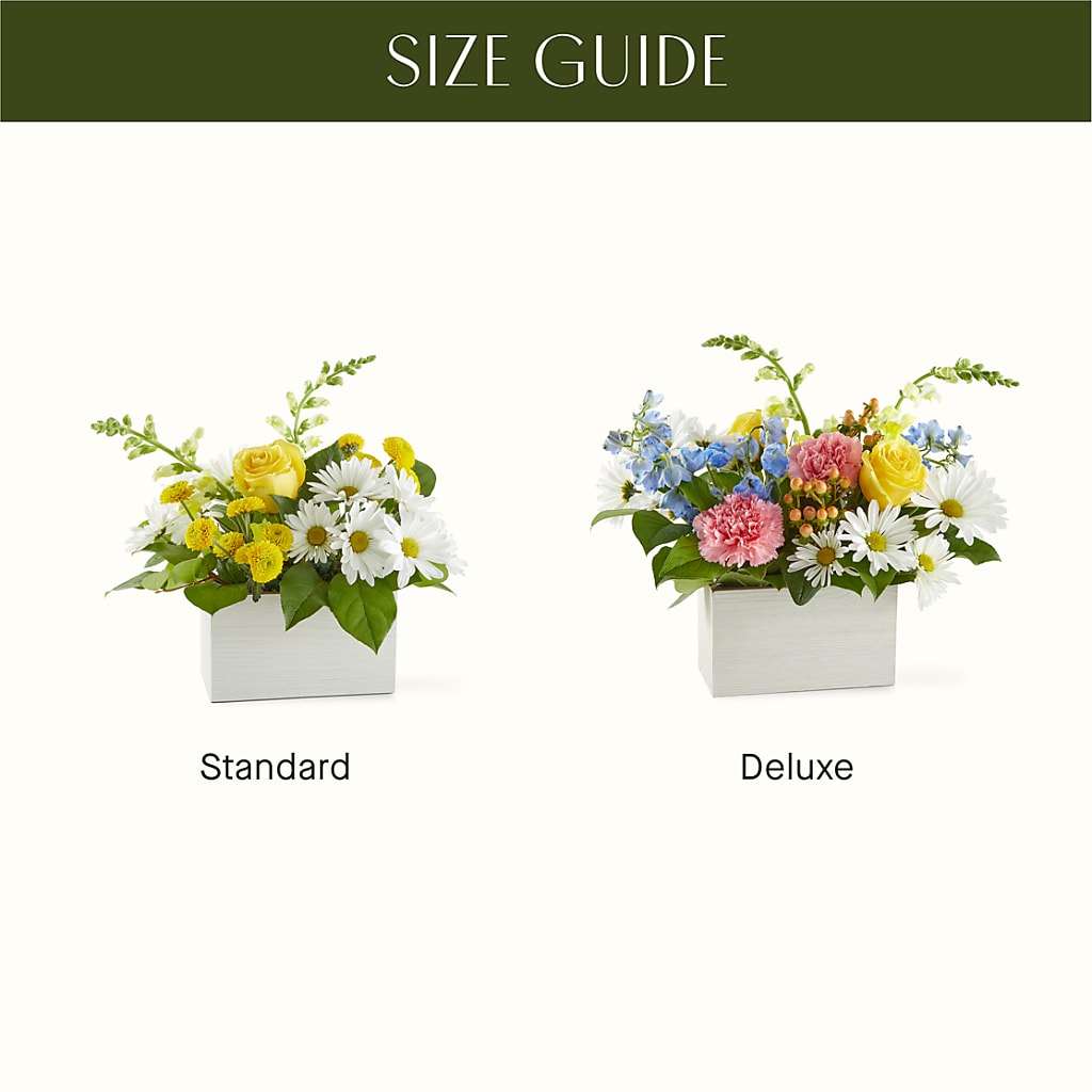 Sun Salutation Box Bouquet –  Flowers By Mayra Inc, Freeport NY
