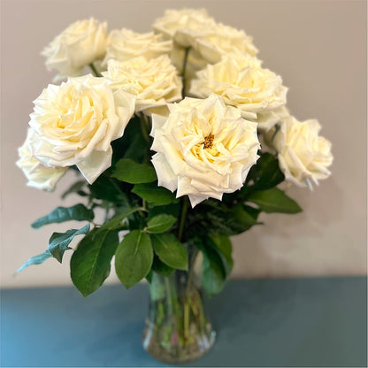 Long Stem Yellow Rose Bouquet –  Flowers By Mayra Inc, Freeport NY