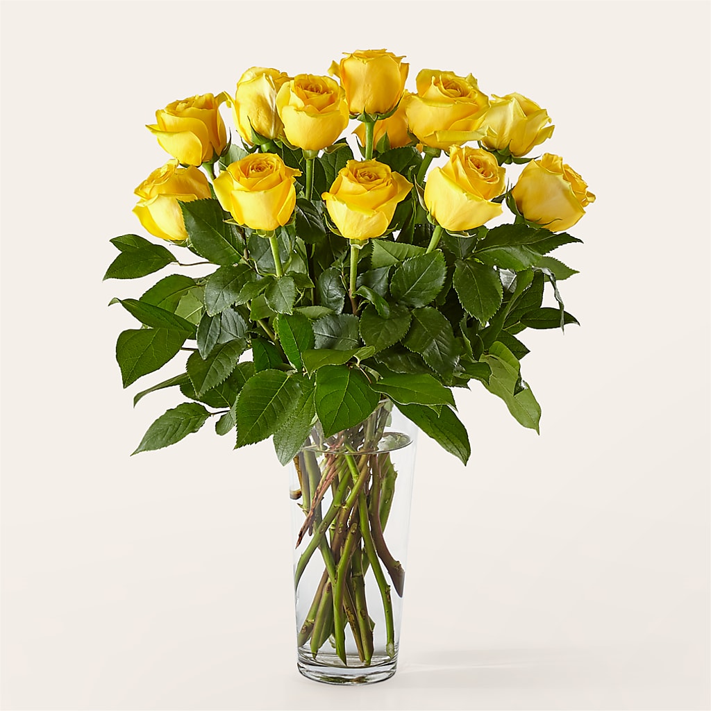 Long Stem Yellow Rose Bouquet –  Flowers By Mayra Inc, Freeport NY