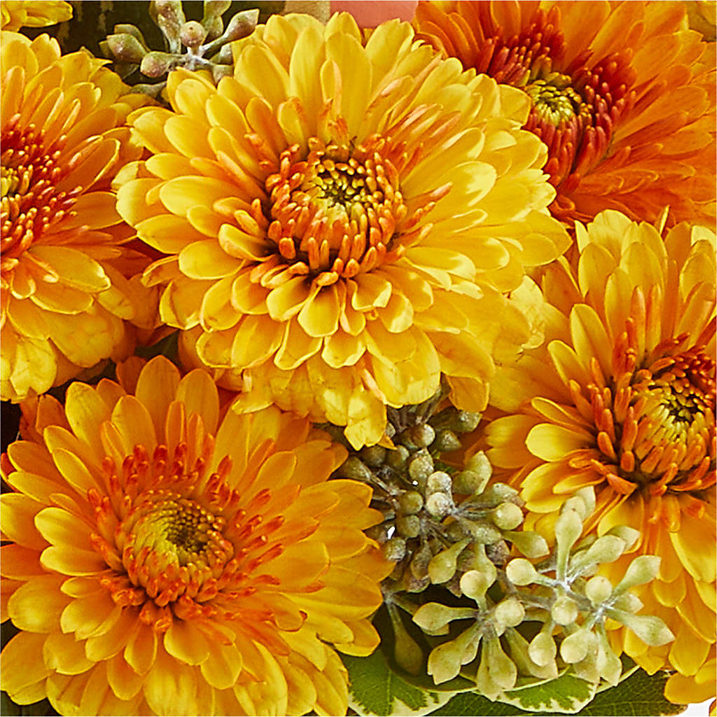 Peachy Pumpkin –  Flowers By Mayra Inc, Freeport NY