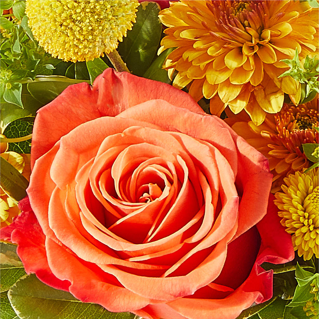 Gourdgeous Pumpkin –  Flowers By Mayra Inc, Freeport NY