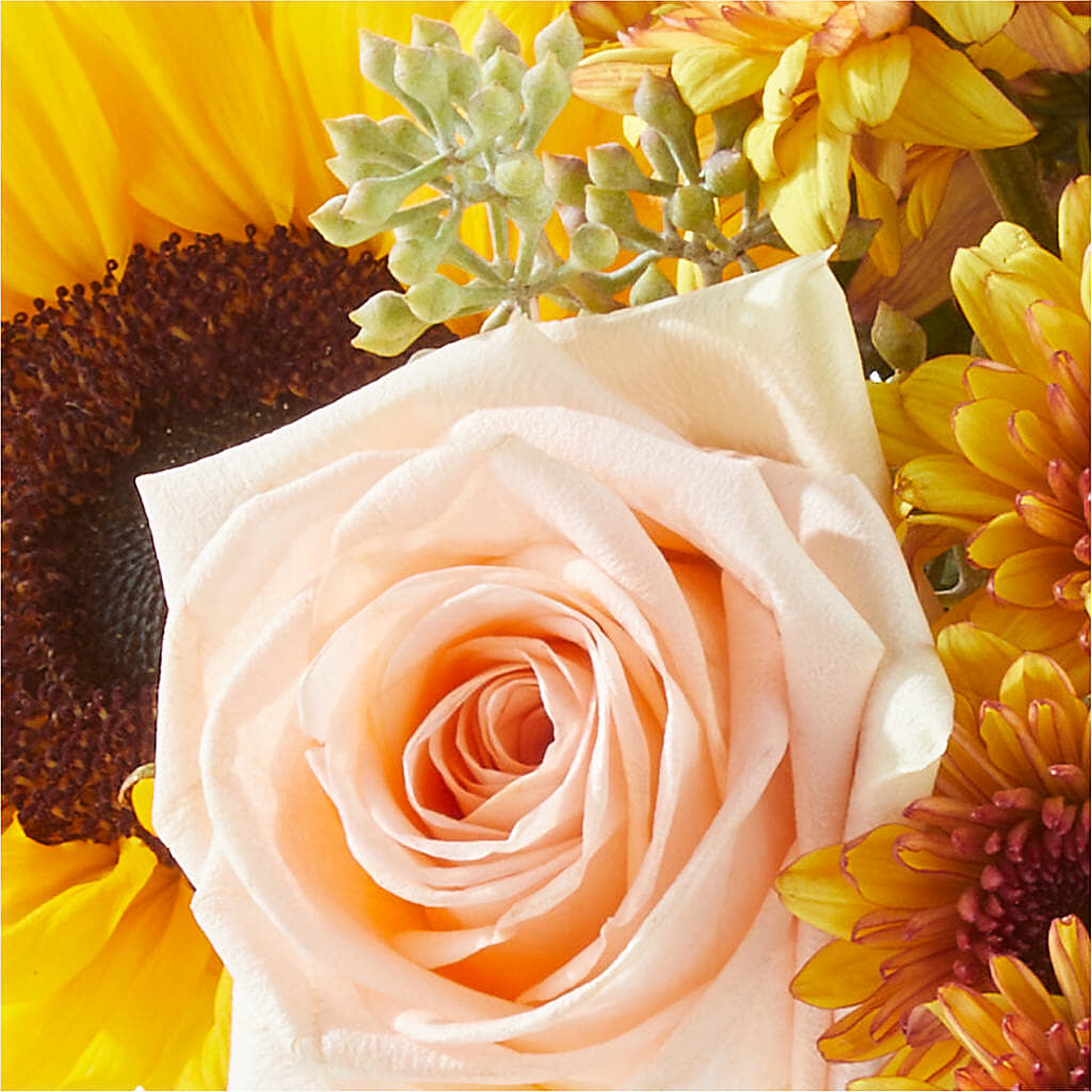Pumpkin to Talk About Bouquet –  Flowers By Mayra Inc, Freeport NY