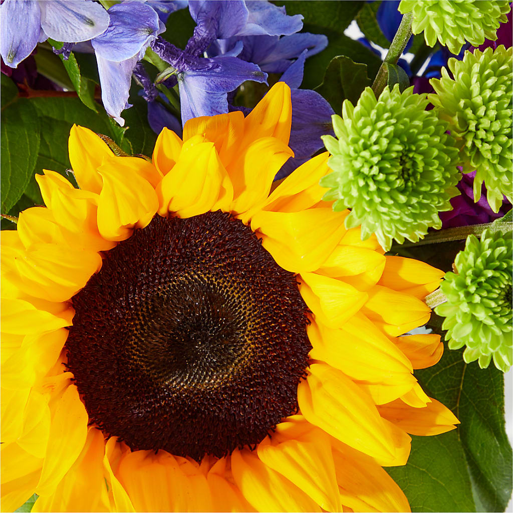 Catching Rays Bouquet –  Flowers By Mayra Inc, Freeport NY
