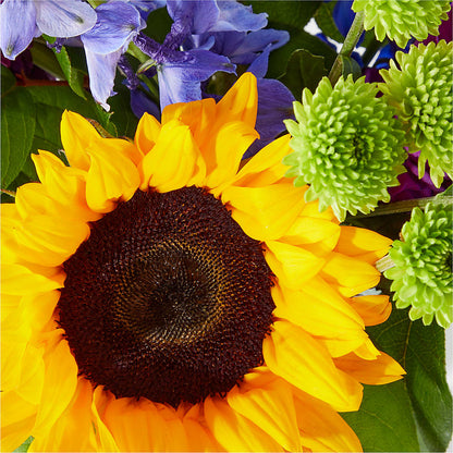 Catching Rays Bouquet –  Flowers By Mayra Inc, Freeport NY