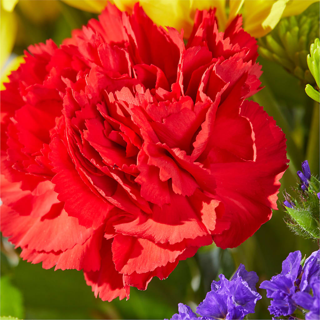 Brighter Days Bouquet –  Flowers By Mayra Inc, Freeport NY
