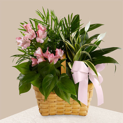 Living Spirit Dishgarden –  Flowers By Mayra Inc, Freeport NY