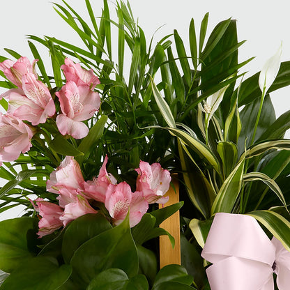 Living Spirit Dishgarden –  Flowers By Mayra Inc, Freeport NY