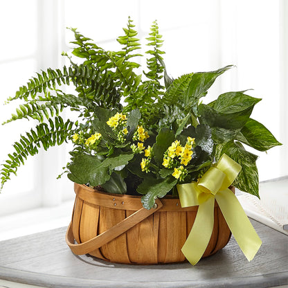 Always Dear Dishgarden –  Flowers By Mayra Inc, Freeport NY