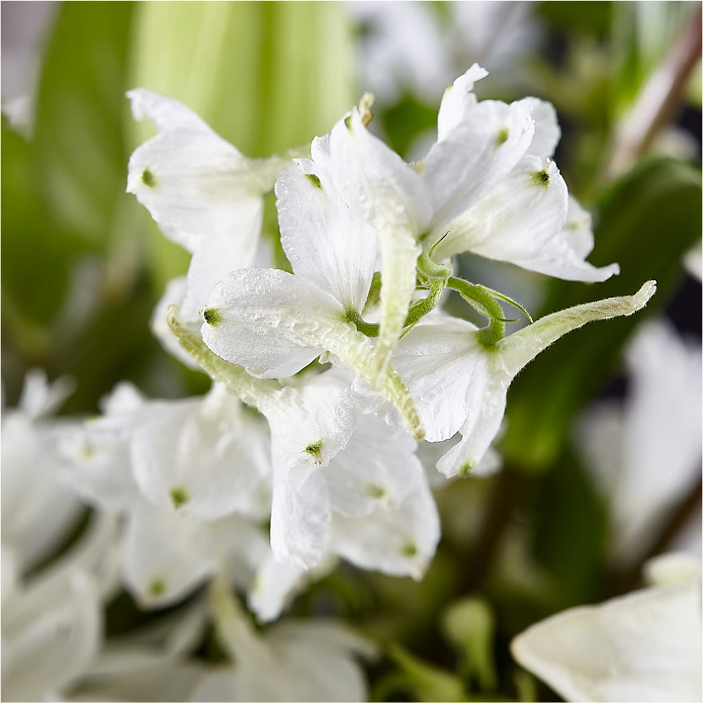 Classic Ivory – A Florist Original –  Flowers By Mayra Inc, Freeport NY