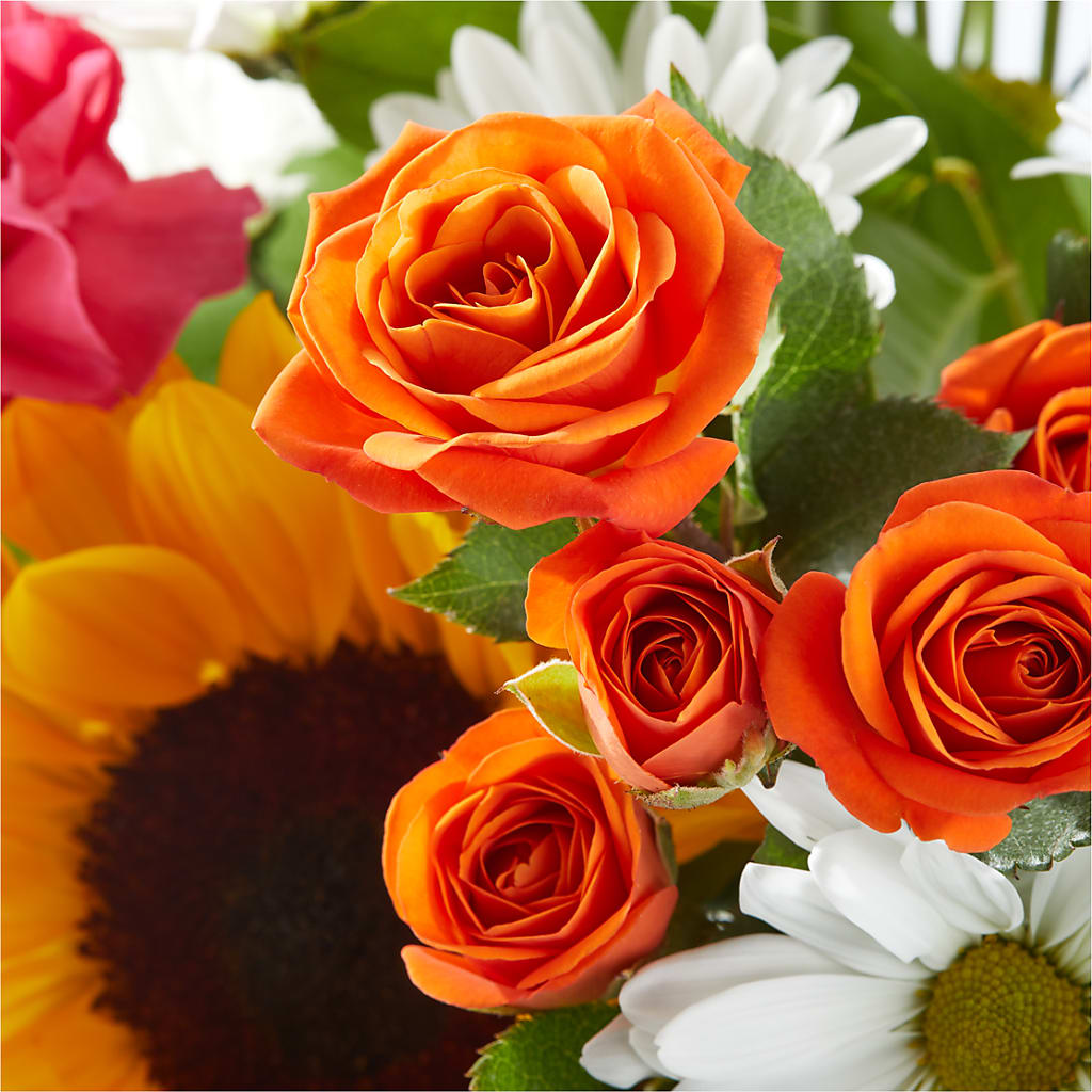 Sun-drenched Blooms Bouquet –  Flowers By Mayra Inc, Freeport NY