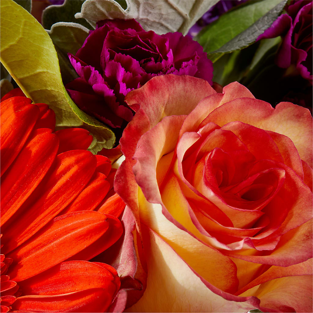Sangria Bouquet –  Flowers By Mayra Inc, Freeport NY