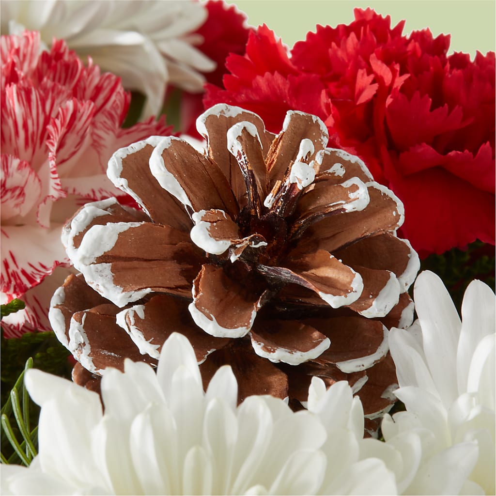 Candy Cane Lane Bouquet –  Flowers By Mayra Inc, Freeport NY