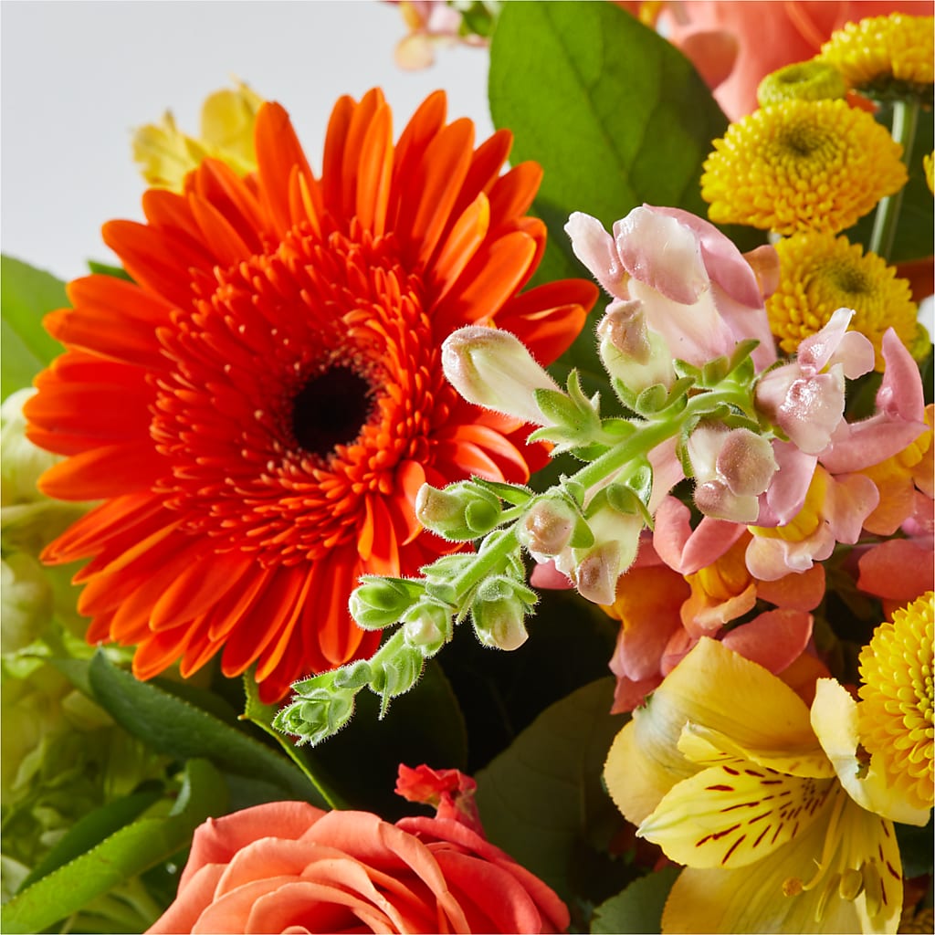 Autumn Sunshine Bouquet –  Flowers By Mayra Inc, Freeport NY