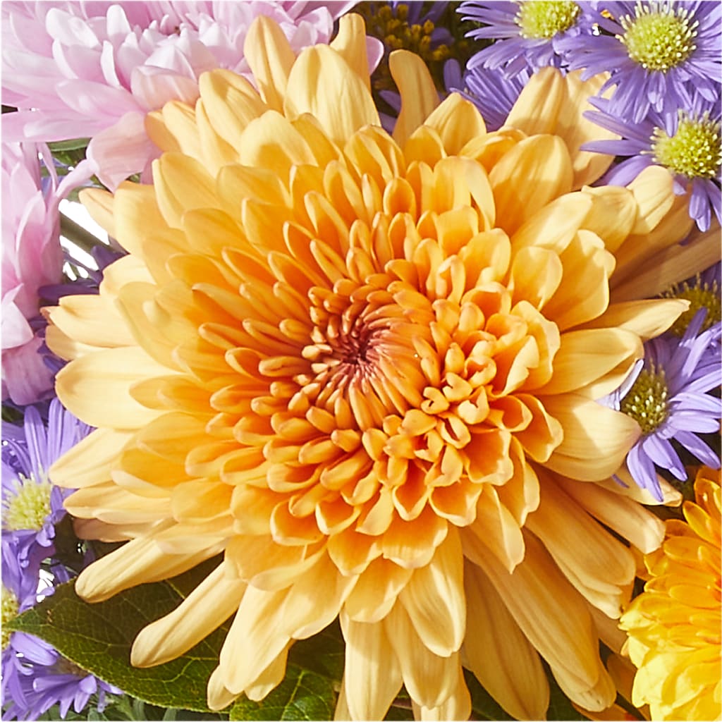 Countryside Bouquet –  Flowers By Mayra Inc, Freeport NY