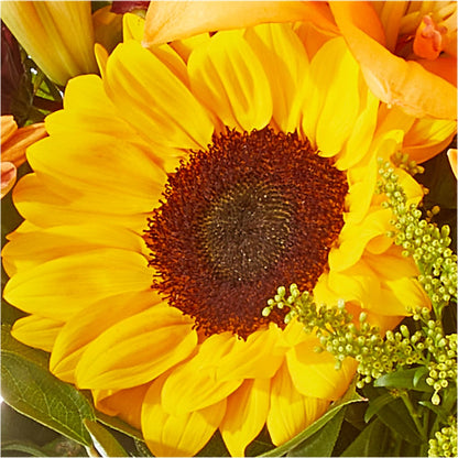 Seasons Change Bouquet –  Flowers By Mayra Inc, Freeport NY