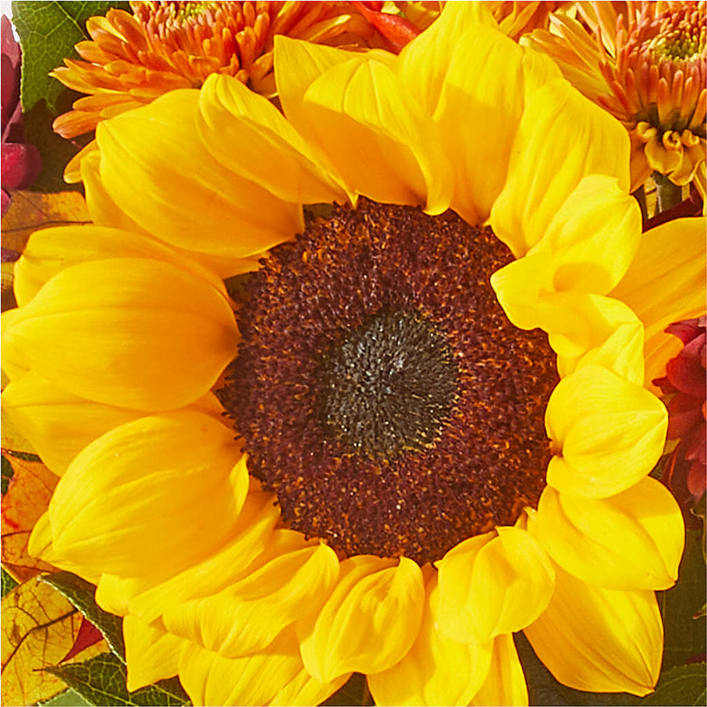 Sunny Side Bouquet –  Flowers By Mayra Inc, Freeport NY