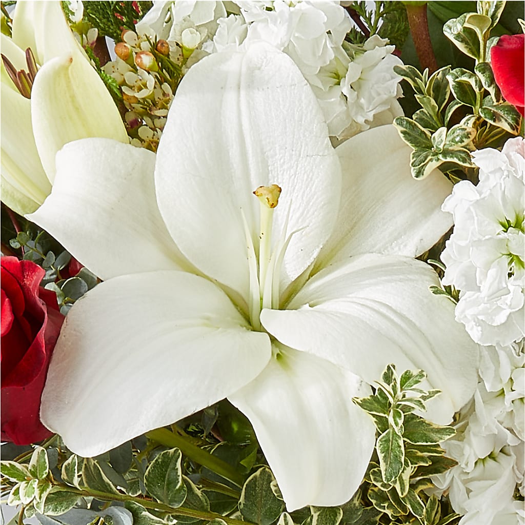Twinkle Lights Bouquet –  Flowers By Mayra Inc, Freeport NY