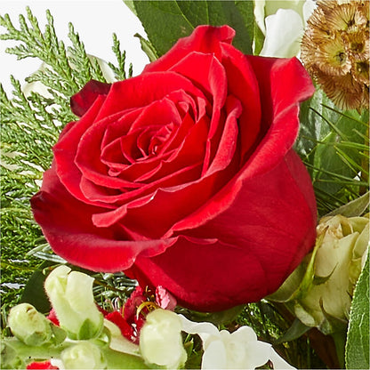 Deck the Halls Bouquet –  Flowers By Mayra Inc, Freeport NY