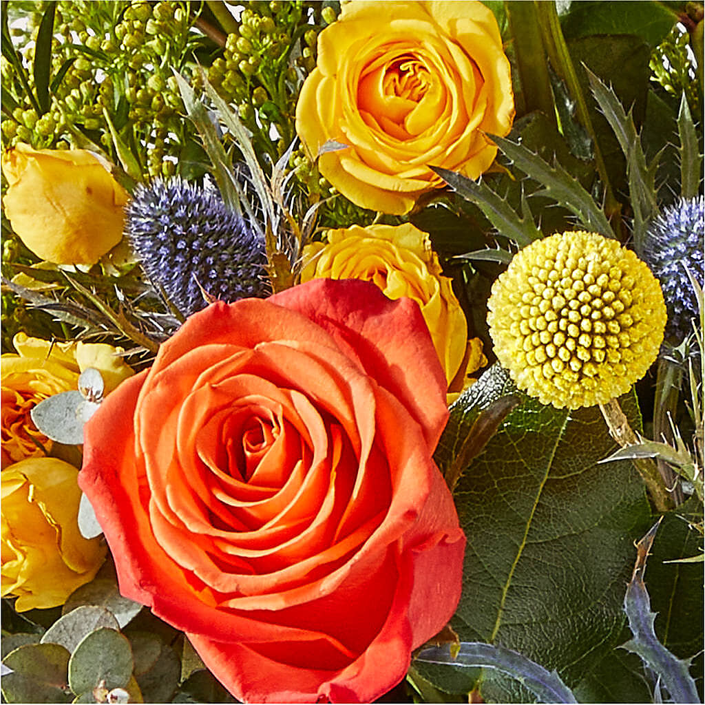Disco Bouquet –  Flowers By Mayra Inc, Freeport NY