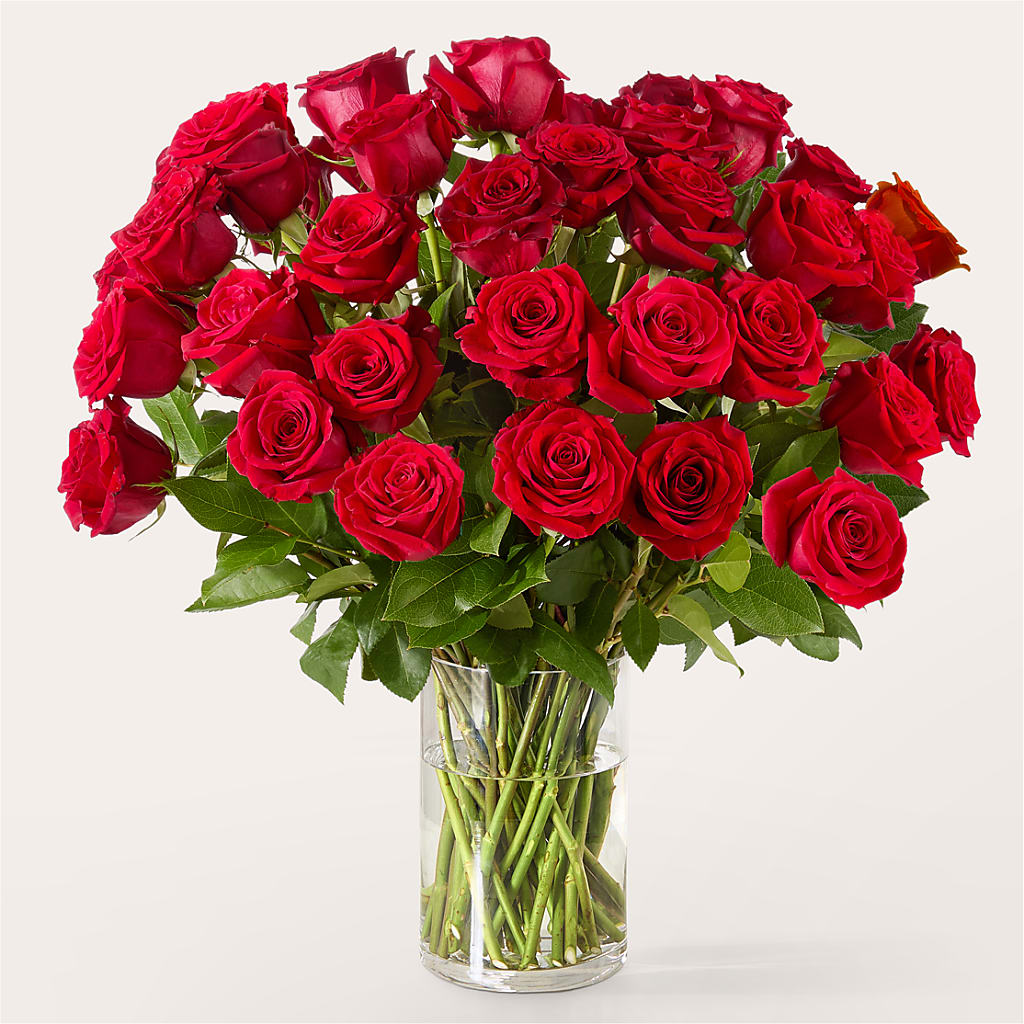 The One Red Rose Bouquet –  Flowers By Mayra Inc, Freeport NY