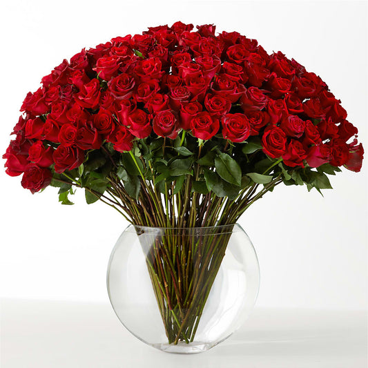 The Idealist –  Flowers By Mayra Inc, Freeport NY