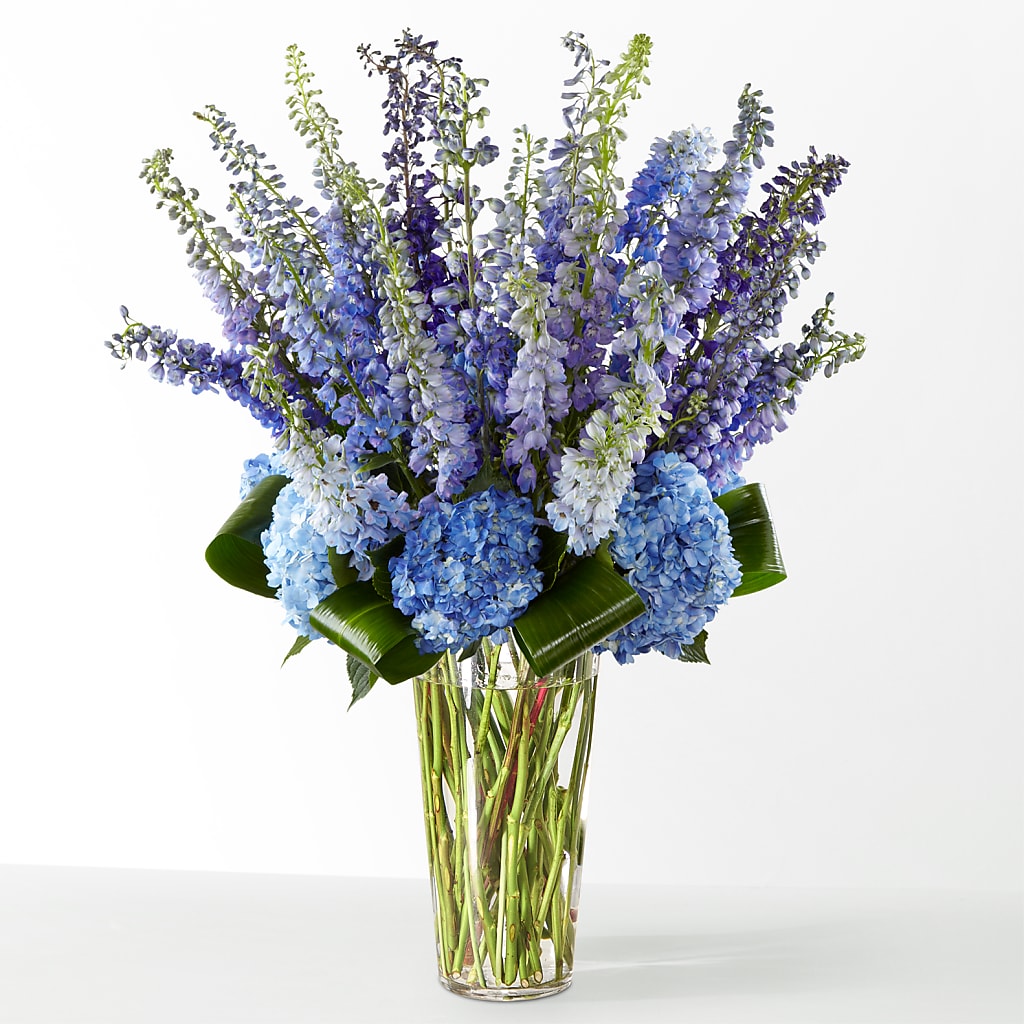 The Editorial –  Flowers By Mayra Inc, Freeport NY