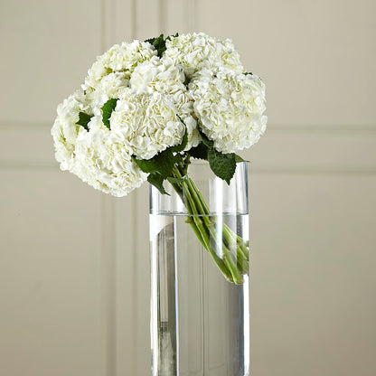 White Hydrangea Hand-Tied Bouquet –  Flowers By Mayra Inc, Freeport NY