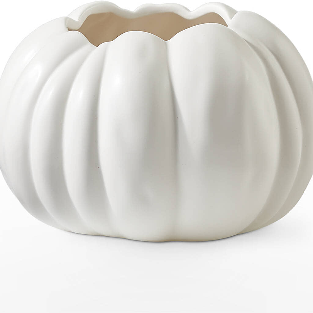 Autumn Air Pumpkin Bouquet –  Flowers By Mayra Inc, Freeport NY